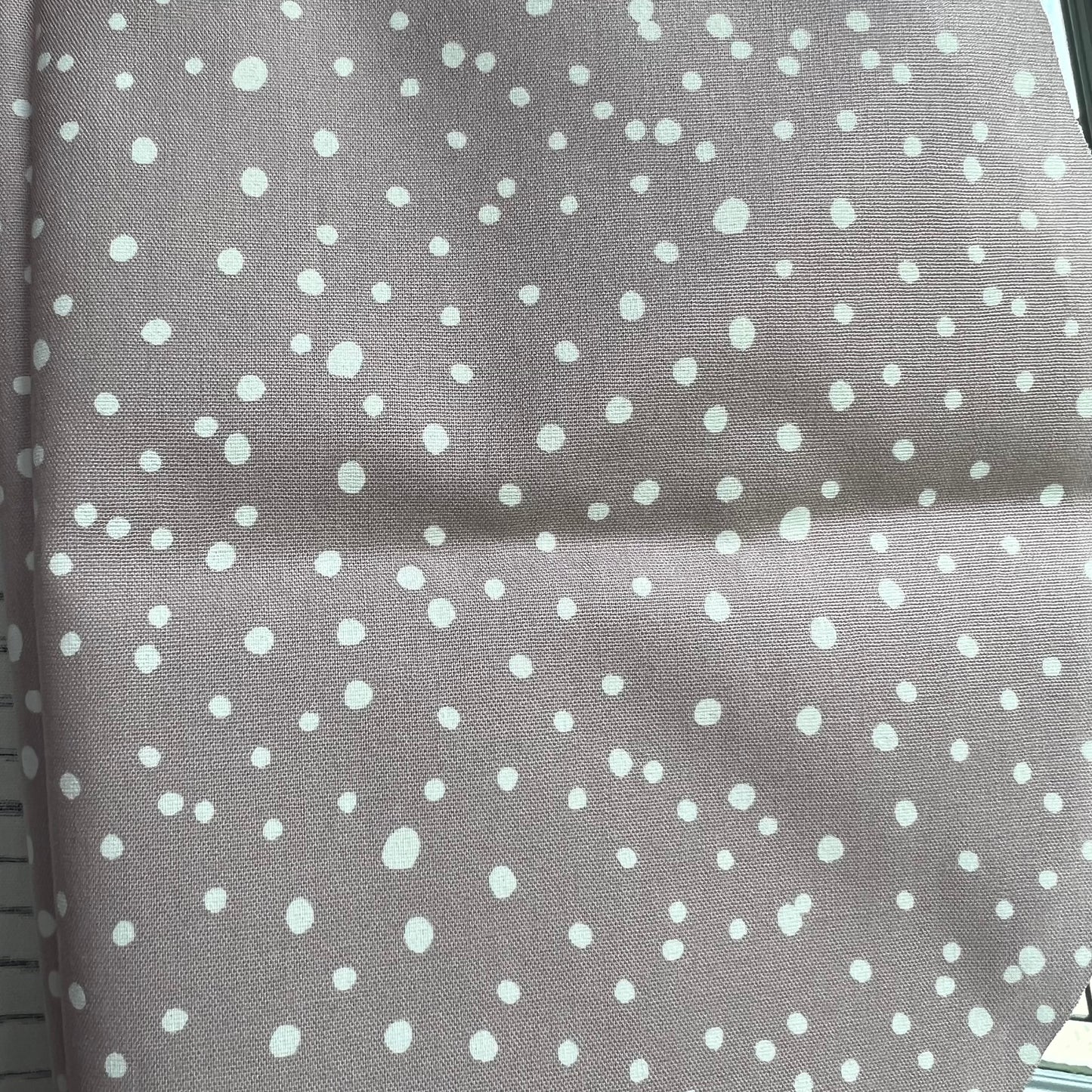 Bowl Cover -SM