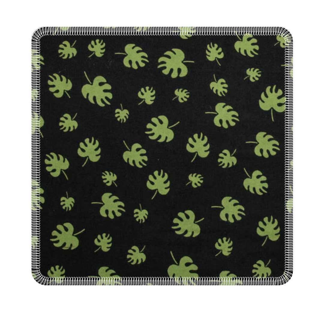 Paperless Towels: Monstera