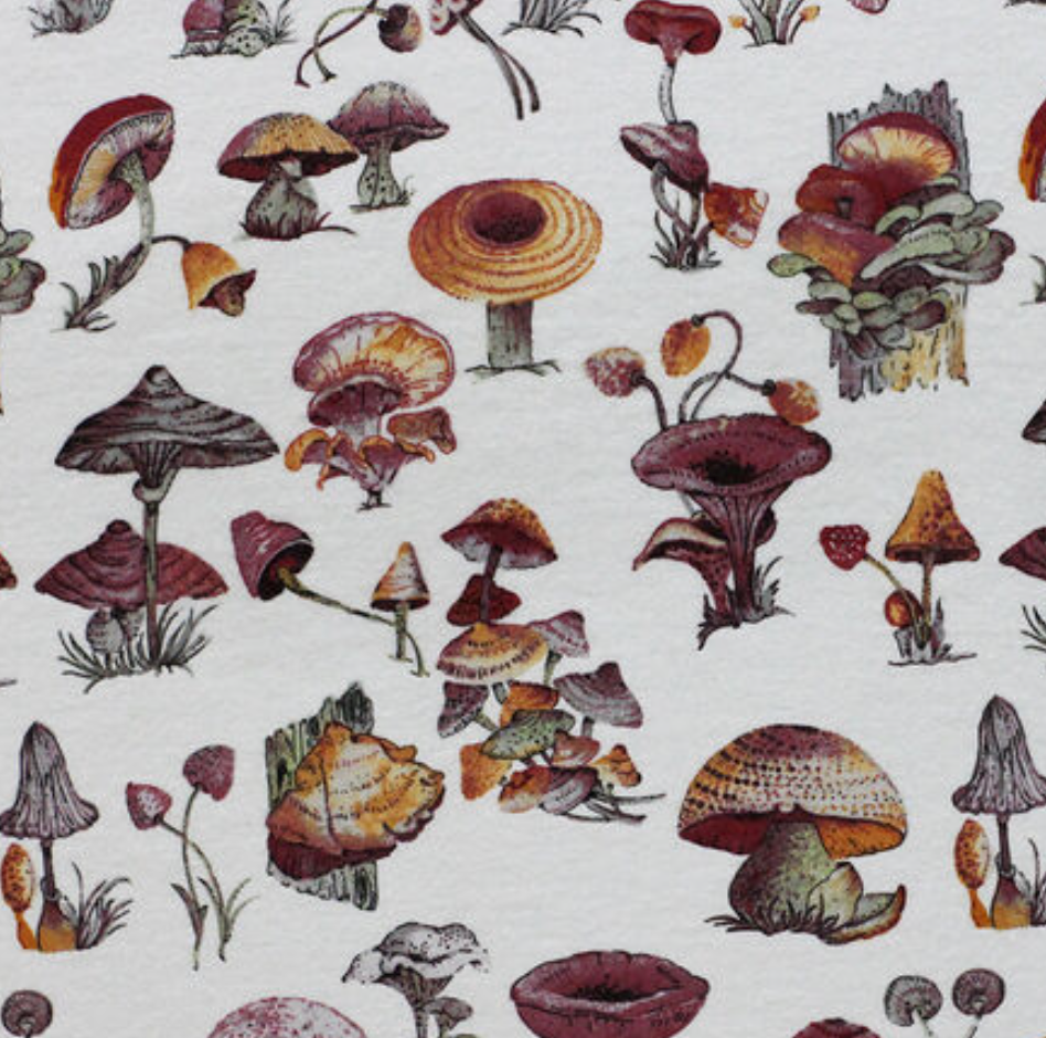 Paperless Towels: Prints